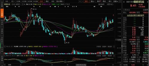 玉米高位运行 饲料行情起飞，计算机软件板块投资机遇显现